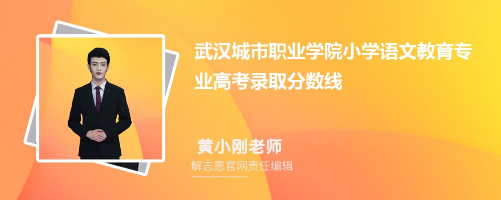 武汉城市职业学院小学语文教育专业高考录取分数线是多少?附历年最低分排